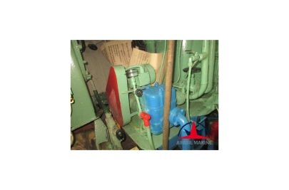 BILGE PUMPS - GOTHIA - VEDS - COMPLETE RECONDITION PUMPS