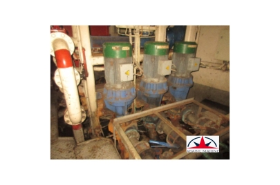 FRESH WATER PUMPS - AFLEX - DTMC-50B-BM - COMPLETE RECONDITION PUMPS